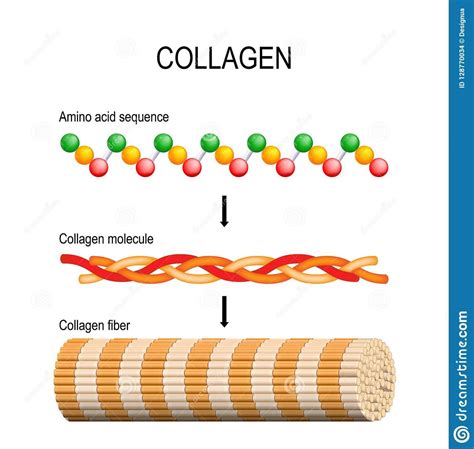 Collane (2) .